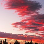 Nature Sunset