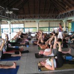 Yoga in Paradise People Doing Yoga